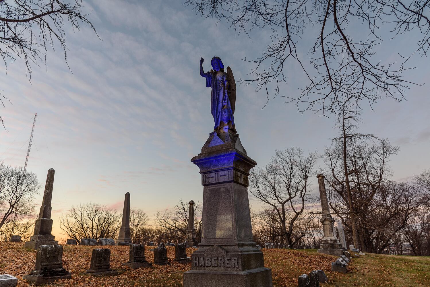 PHOTOS: Angel Night at Calvary Cemetery