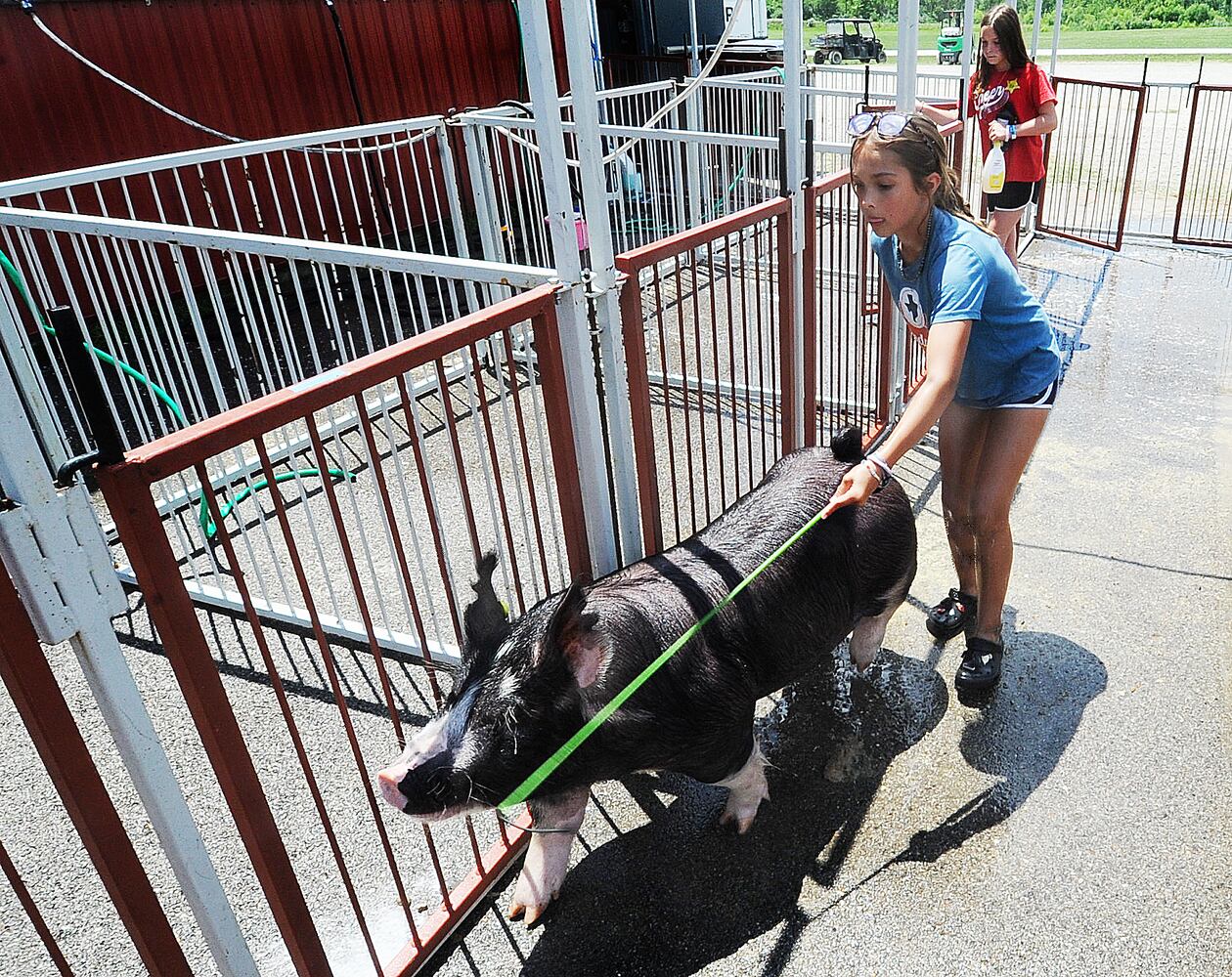 MONTGOMERY COUNTY FAIR