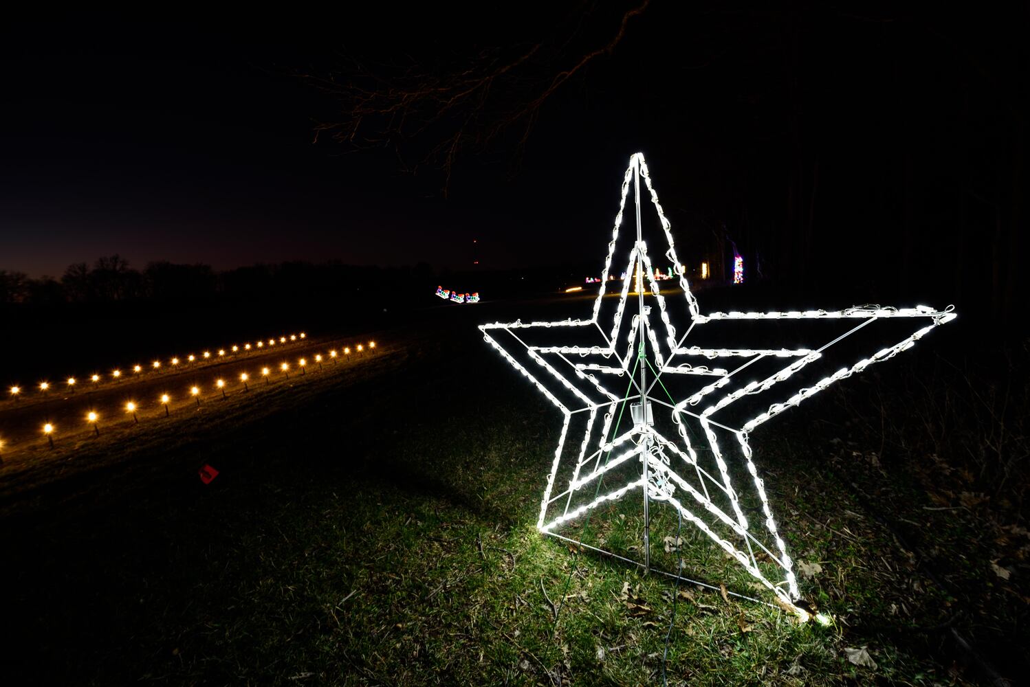 PHOTOS: Holiday Lights dazzle at Lost Creek Reserve in Troy