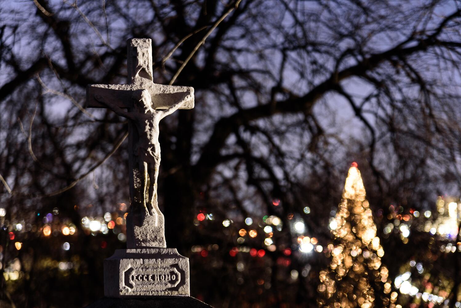 PHOTOS: Angel Night at Calvary Cemetery
