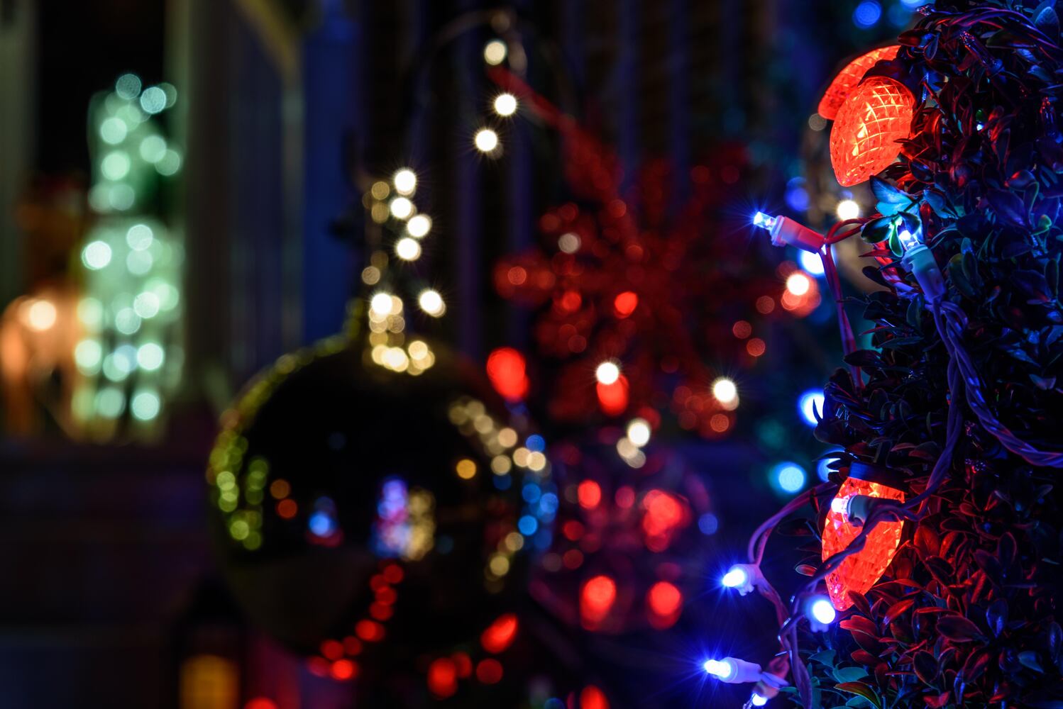 PHOTOS: Holiday on the Hill in the St. Anne's Hill Historic District