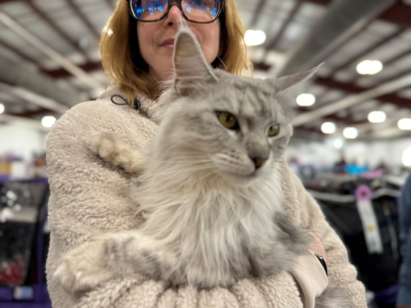 Cat Fanciers' Association cat show