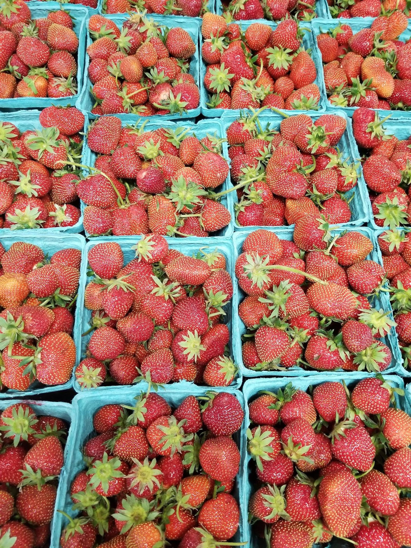 Monnin Fruit Farm opens for the season Saturday, April 13. Monnin’s Fruit Farm. Phyllis and Roger  Monnin founded the family business.