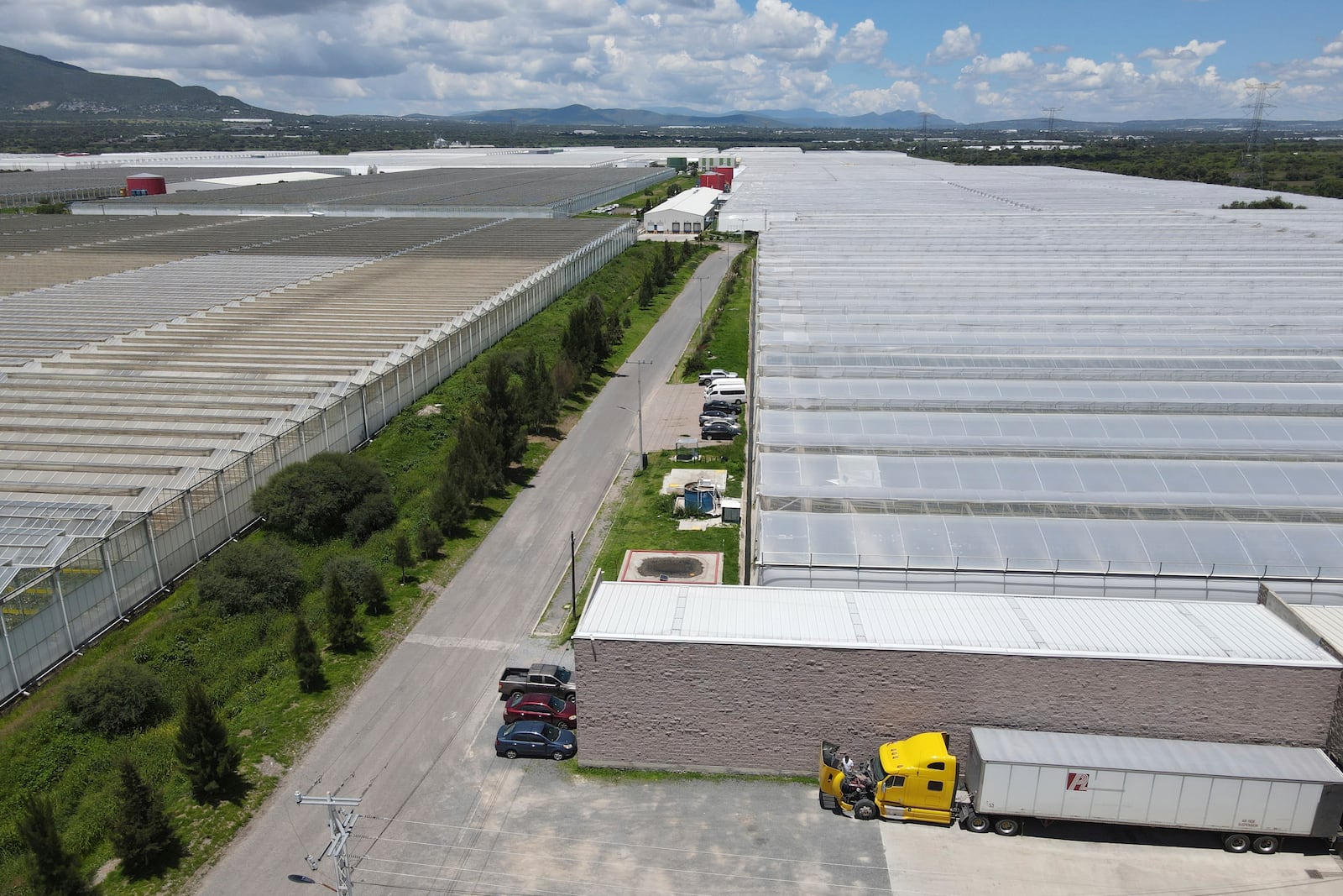 Greenhouses at the Veggy Prime tomato farm, which exports to the United States, in Ajuchitlan, Mexico, Wednesday, July 23, 2025. (AP Photo/Marco Ugarte)
