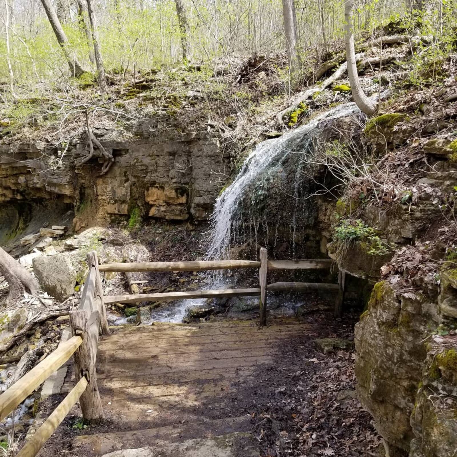 The Five Rivers MetroParks offers great views this time of year of wild flowers blooming, wildlife and flowing creeks. PHOTOS BY ANDREA GILLETTE