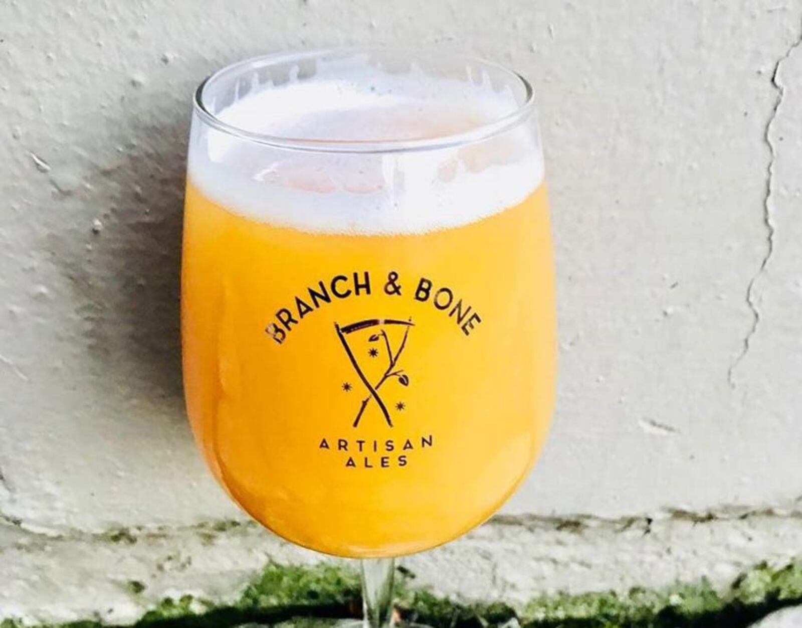 Branch & Bone, one of Dayton's newest local breweries, opened at 905 Wayne. Ave.