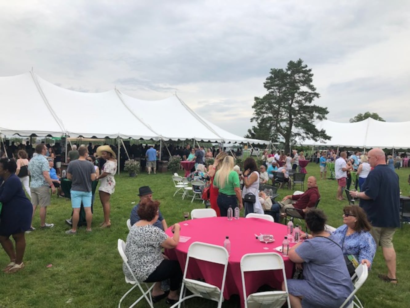 PHOTOS: Who was spotted at Dayton’s largest wine festival, the Fleurs de Fete at Carillon Park?