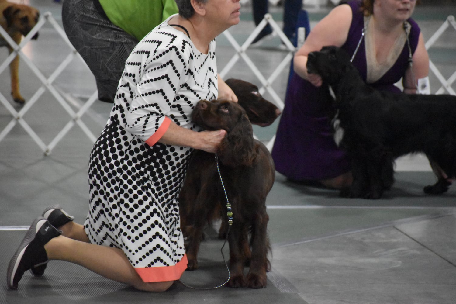 Fort St. Clair Kennel Club Dog Show