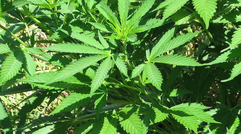 Beavercreek weighs pot ban extension.