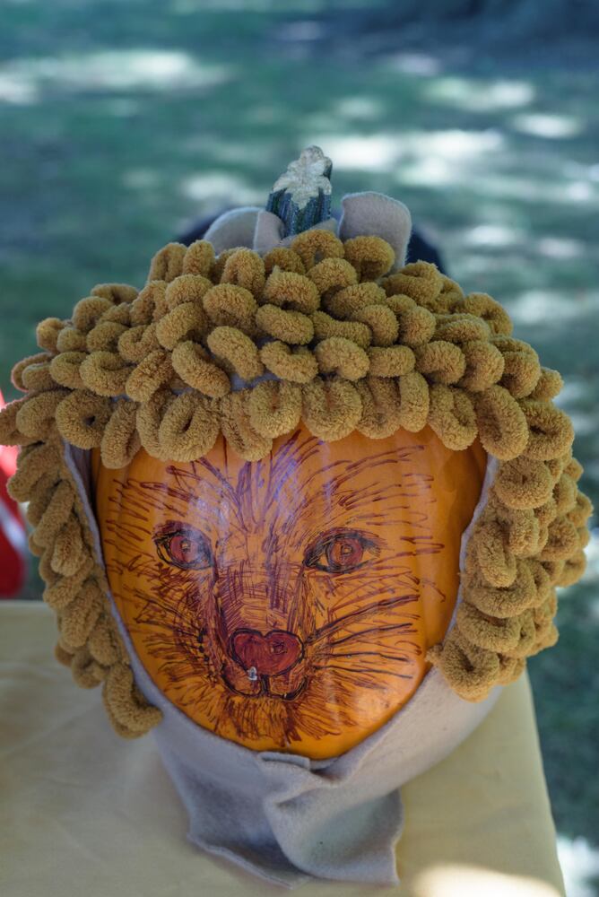 PHOTOS: Did we spot you at the Tipp City Mum Festival?