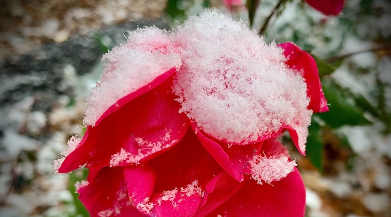 The first fall snowfall of the season arrived on Saturday, Nov. 12, 2022. Isolated snow showers are expected today, which will be cold with highs around freezing. MARSHALL GORBY\STAFF