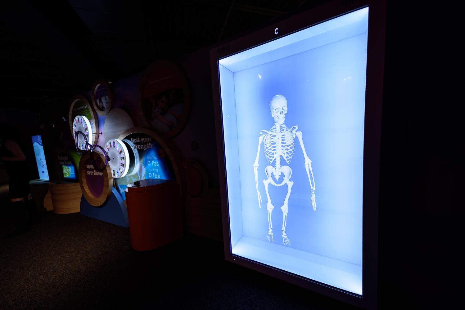 PHOTOS: ABC Night at the Boonshoft Museum of Discovery