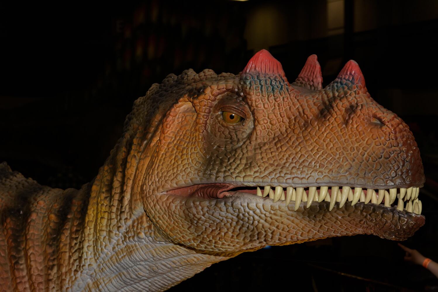PHOTOS: Did we spot you hanging out with dinosaurs at Jurassic Quest at the Dayton Convention Center?