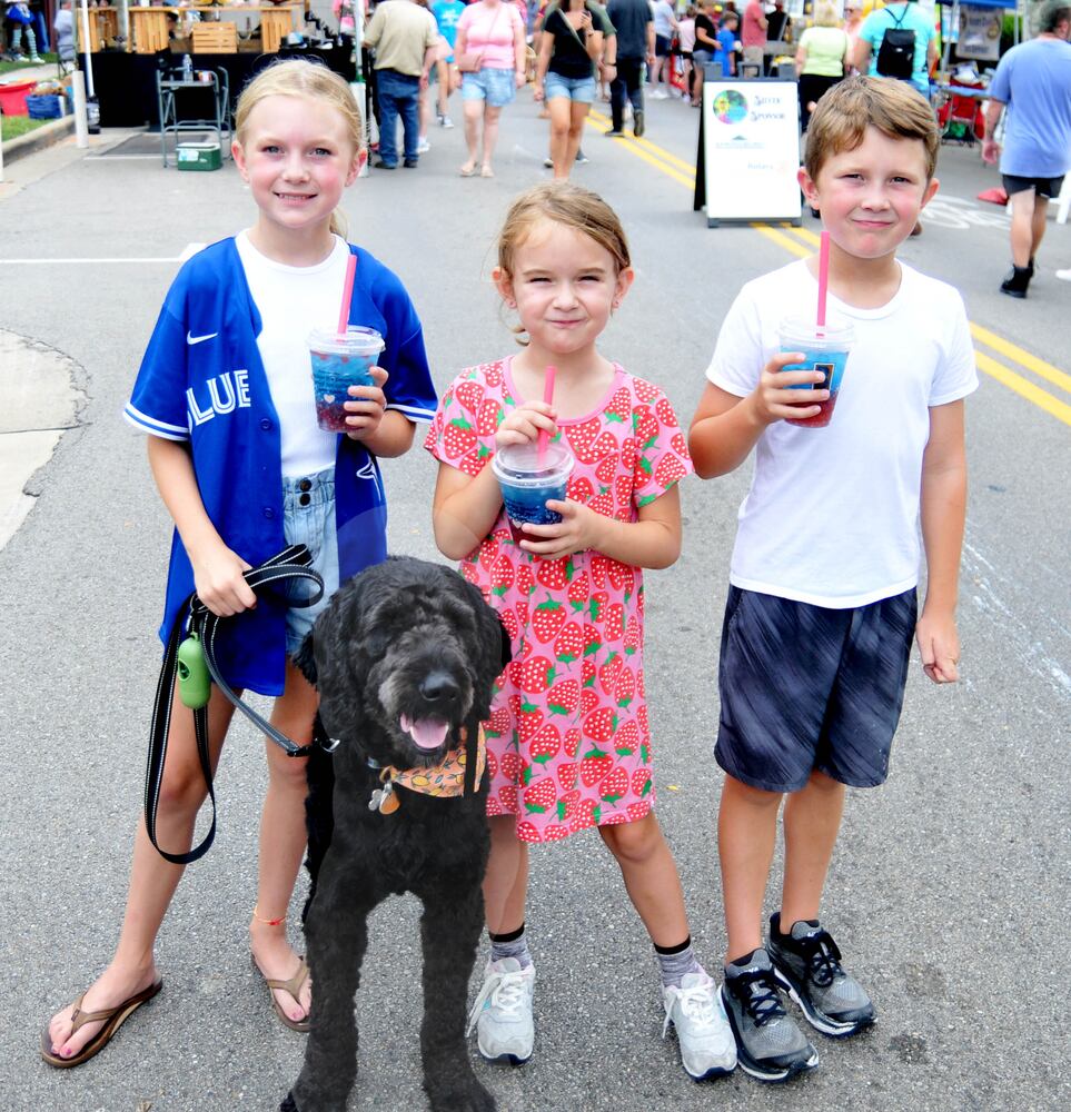 Did we spot you at Springboro's ARTFest on Main 2023?
