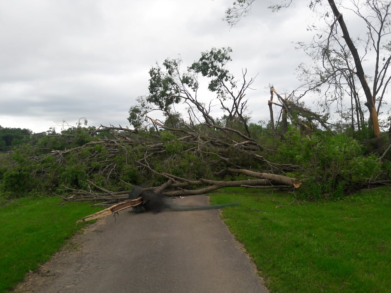 Photos: ‘extraordinary’ damage to parts of  Wegerzyn MetroPark, some parts mostly untouched