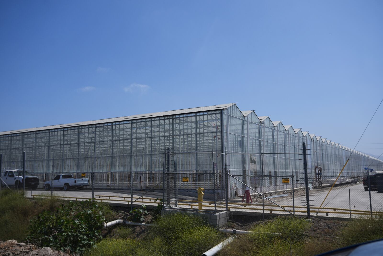 FILE - The exterior of Glass House Farms is shown, a day after an immigration raid on the facility, on Friday, July 11, 2025, in Camarillo, Calif. (AP Photo/Damian Dovarganes, File)