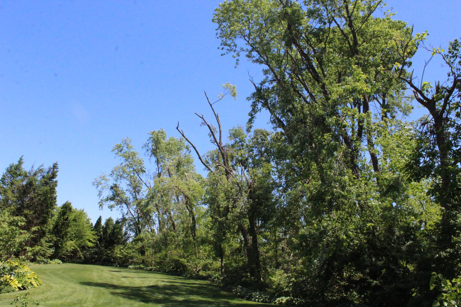 Photos: ‘extraordinary’ damage to parts of  Wegerzyn MetroPark, some parts mostly untouched