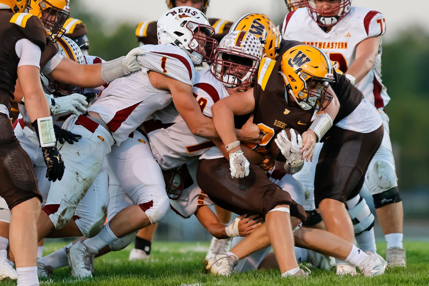 nefb hsfb