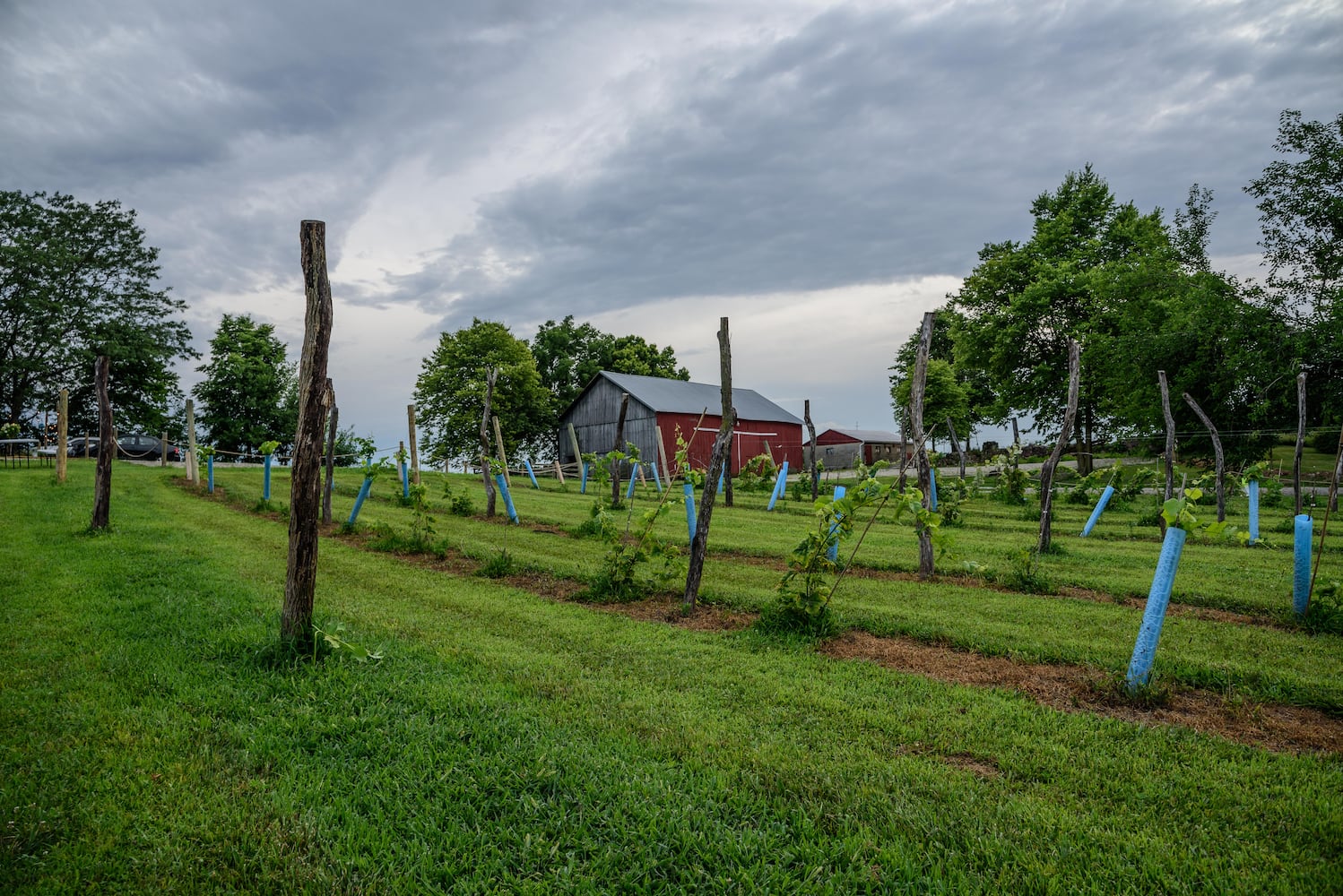 PHOTOS: Our first look inside the newly opened Twenty One Barrels Cidery & Winery