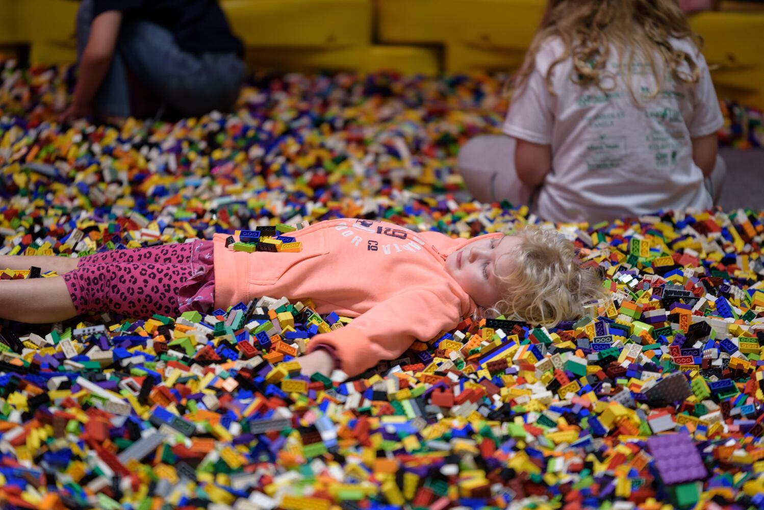 PHOTOS: Brick Fest Live at the Dayton Convention Center