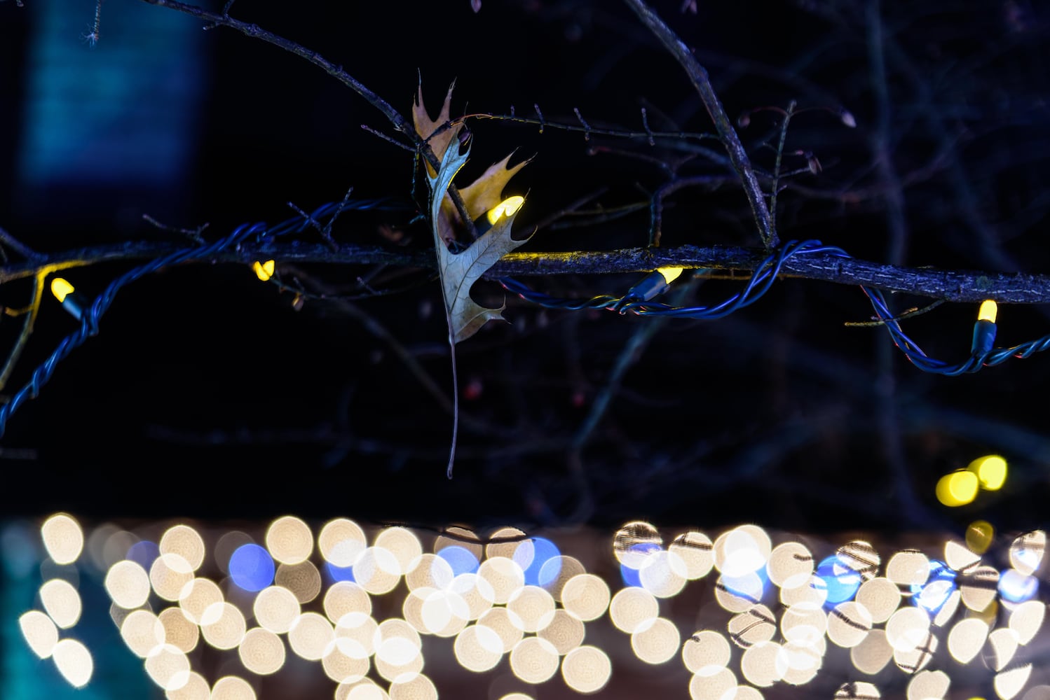 PHOTOS: A walk through Woodland Lights in Washington Township