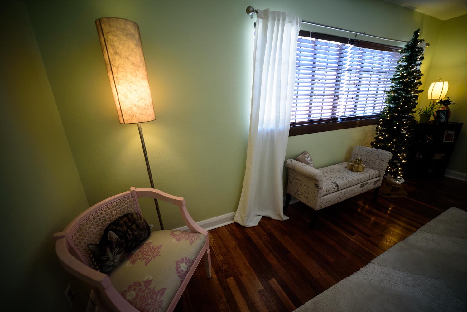 PHOTOS: Decked out for the season, the Oregon District home tour was a breathtaking look at historic homes