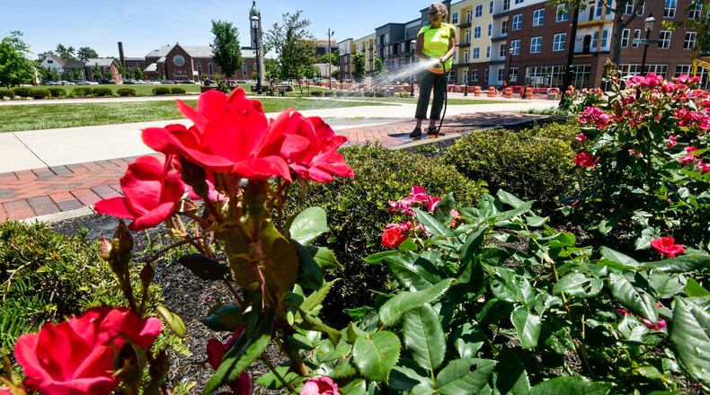 Janis Overholtser waters and plants flowers at Marcum Park with The Marcum, a mixed use retail and residential complex that is still under construction in Hamilton. NICK GRAHAM/STAFF