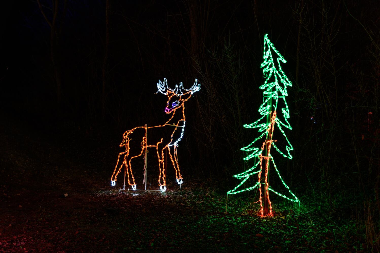 PHOTOS: ParkLights at Caesar Ford Park