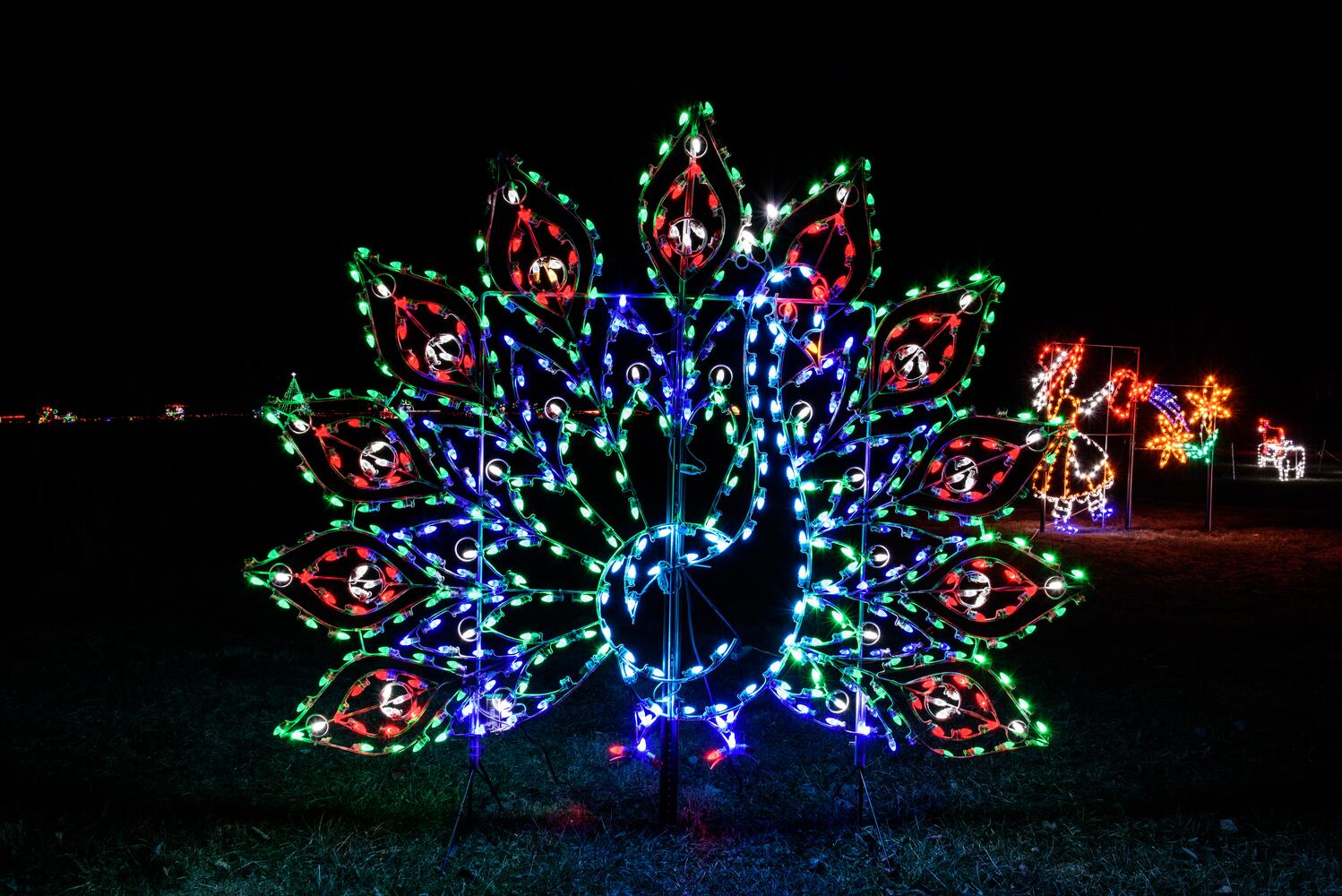 PHOTOS: ParkLights at Caesar Ford Park