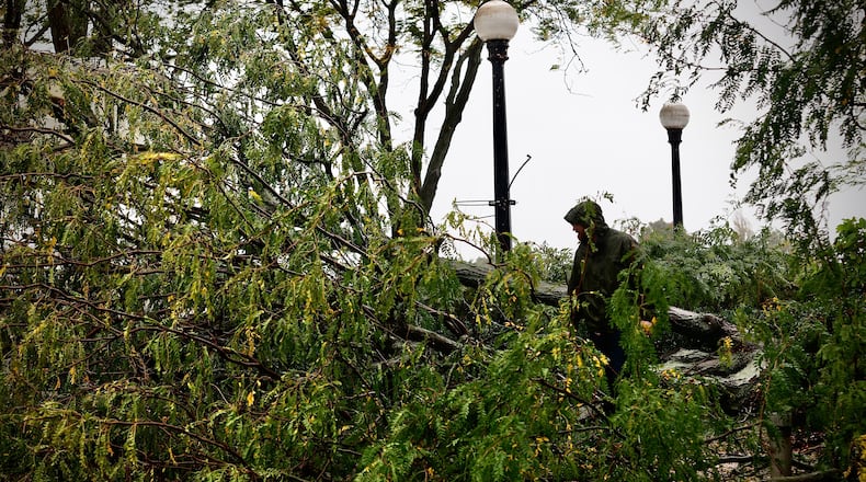 Several trees were felled during high wind and heavy rain Friday, Sept. 27, 2024, including this one at RiverScape MetroPark in downtown Dayton. MARSHALL GORBY \ STAFF