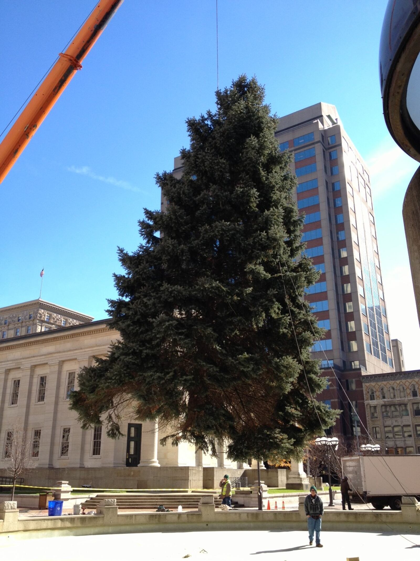 The selected tree will be decorated with more than 50,000 lights. PHOTO / Downtown Dayton Partnership