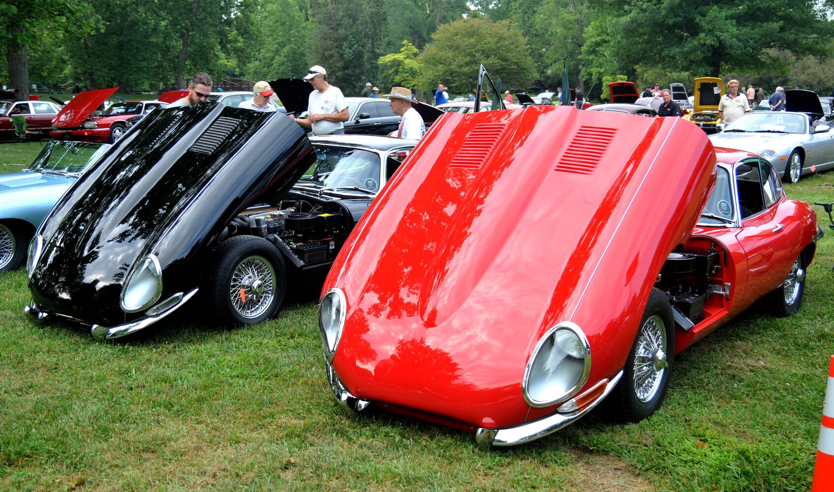 PHOTOS: Did we spot you at British Car Day?