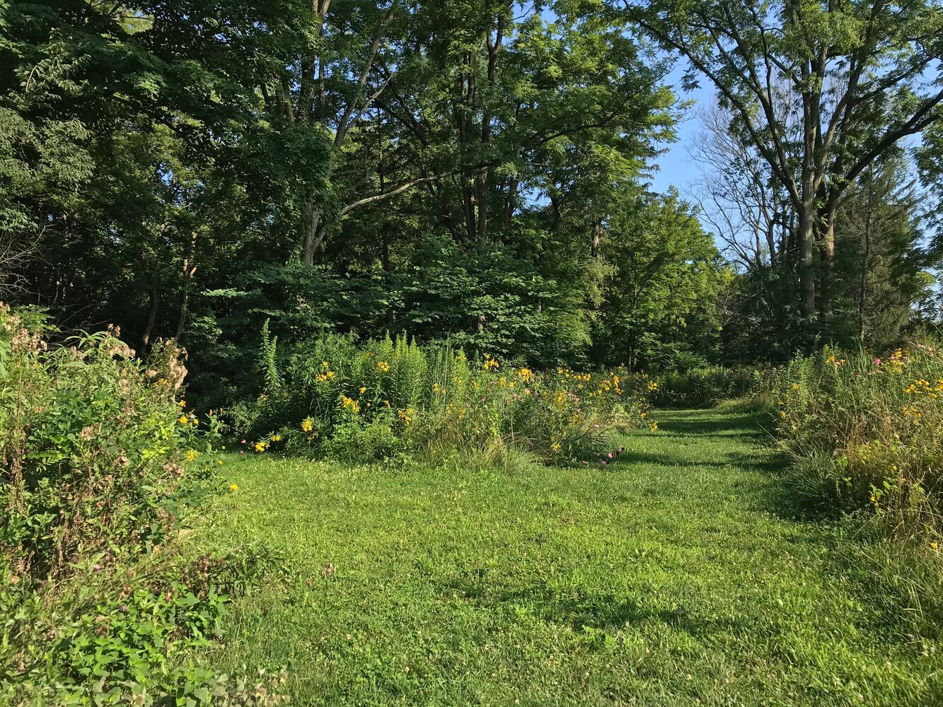 PHOTOS: This hidden park on the side of the road might be one of Dayton’s most peaceful spots