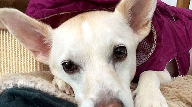 Ellie who is the namesake of Ellie's Rainy Day Fund. CONTRIBUTED