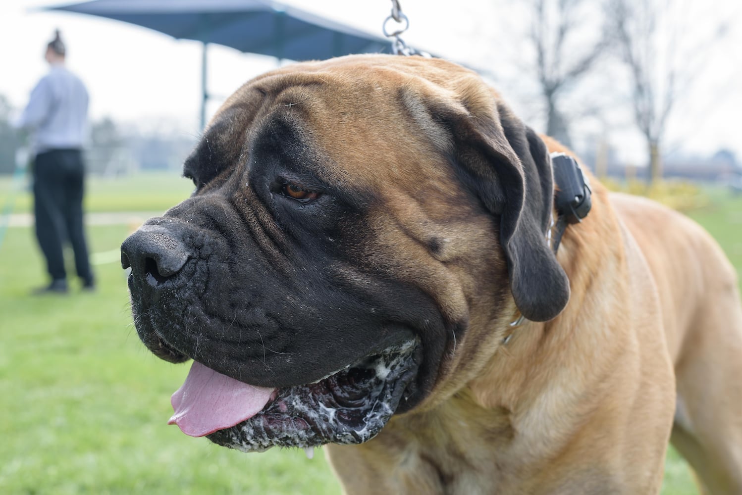 PHOTOS: 2026 Vandalia Paws in the Park Easter Party at Helke Park
