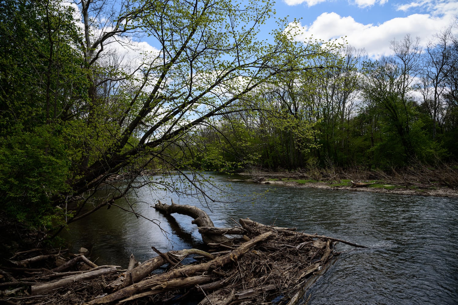 PHOTOS: Gorgeous Aullwood Garden is in full bloom