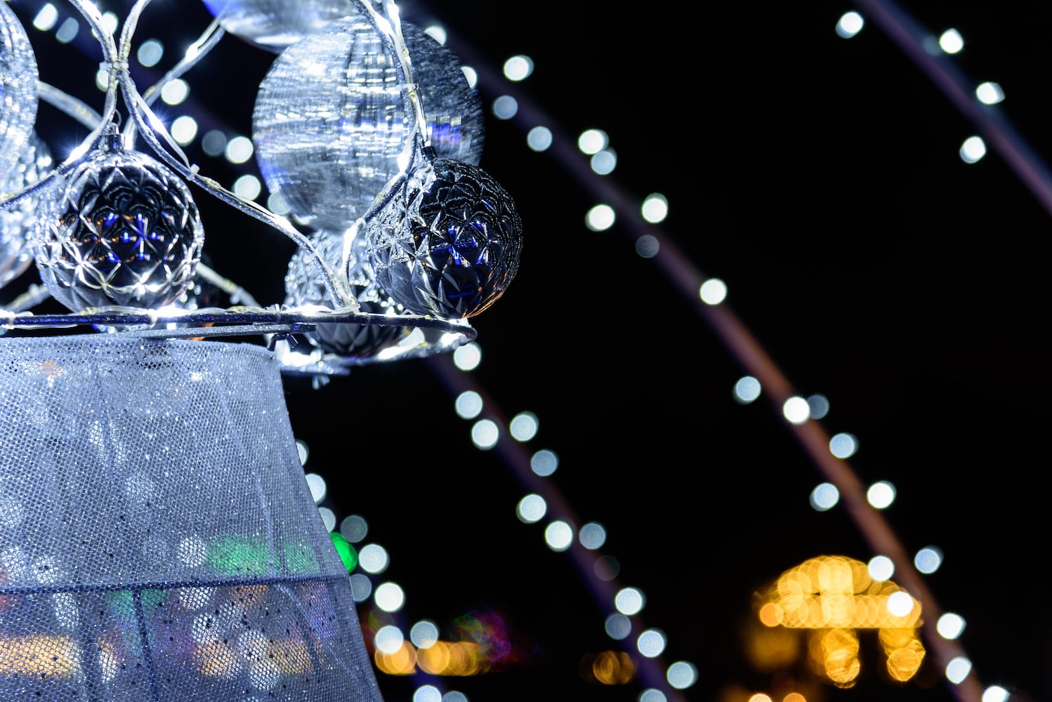 PHOTOS: Christmas Light Spectacular at Cedar Springs Pavilion