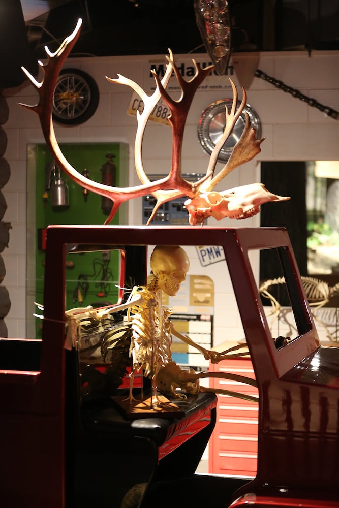 PHOTOS: Boonshoft Museum of Discovery reopens with old favorites and rarely seen artifacts from the collection