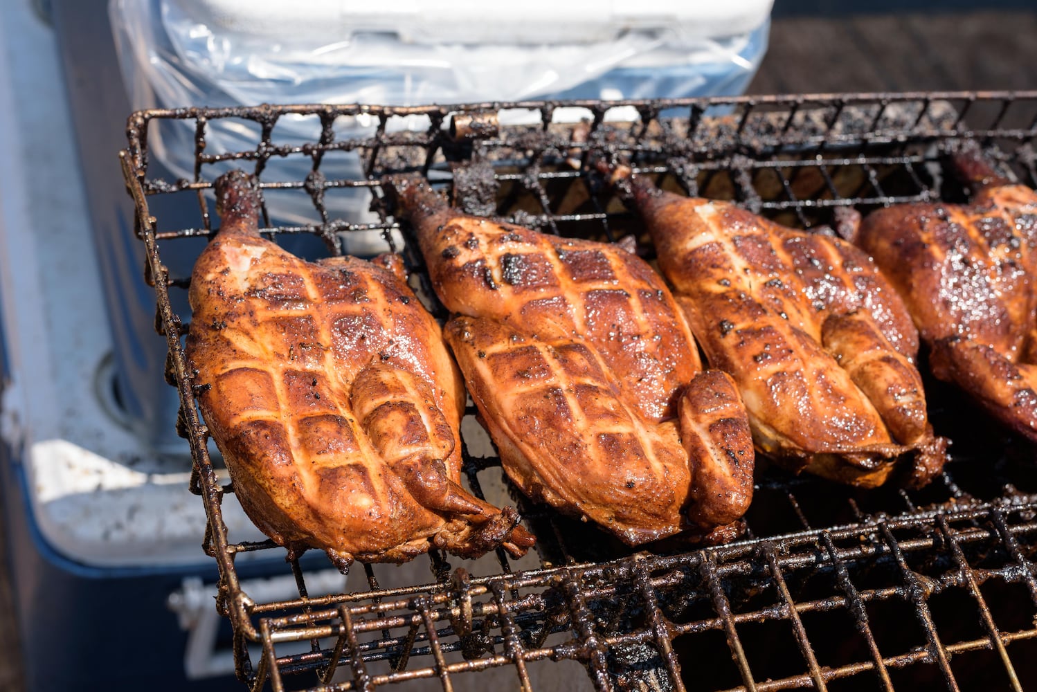 PHOTOS: Did we spot you at the Versailles Poultry Days Festival?
