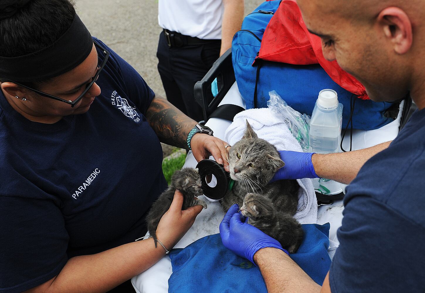 Kitty Rescue