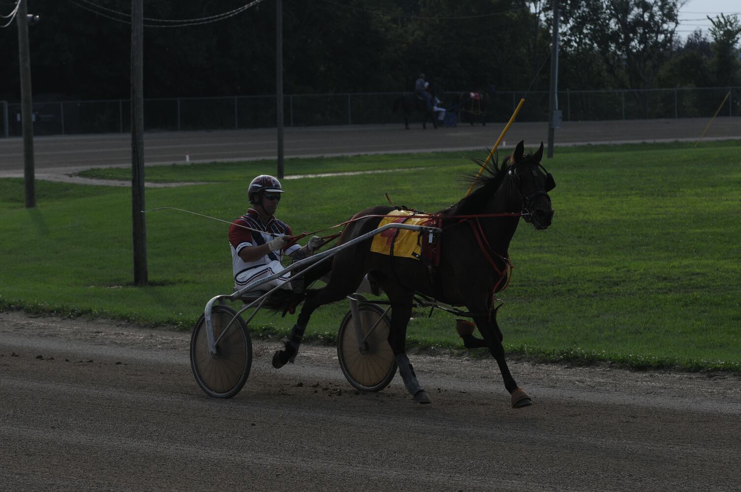 PHOTOS: Did we spot you at the Great Darke County Fair?