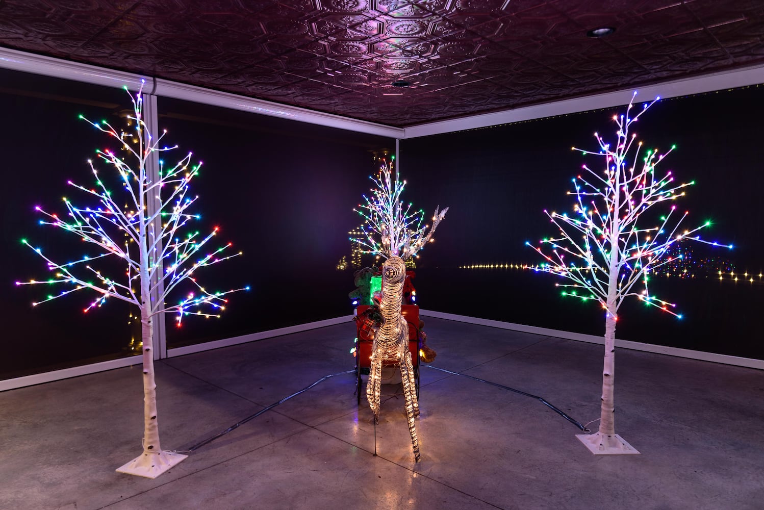 PHOTOS: Christmas Light Spectacular at Cedar Springs Pavilion