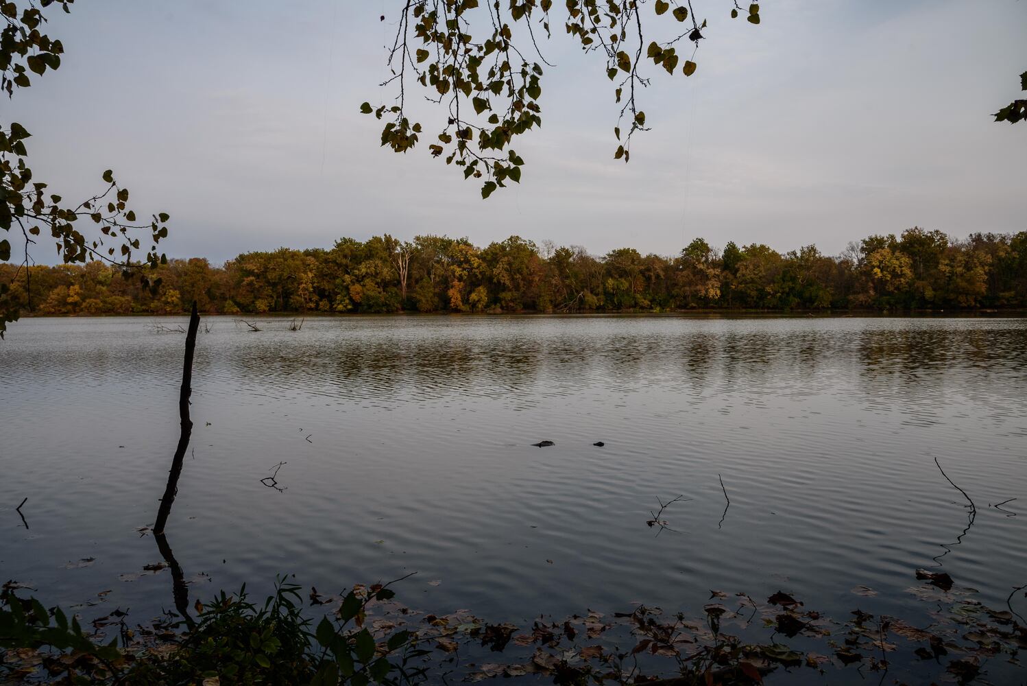 Huffman MetroPark in the fall