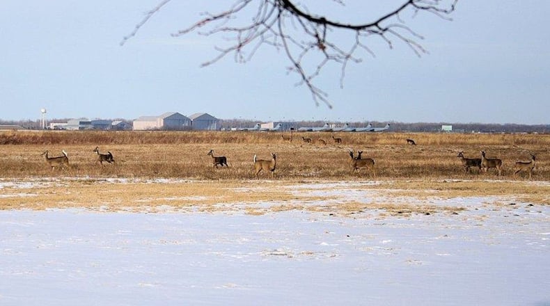 Huffman Prairie at Wright-Patterson Air Force Base includes white tail deer and other natural resources. For hunting and other activities available this hunting season, contact the Rod and Gun Club at 257-3935. (Courtesy photo)