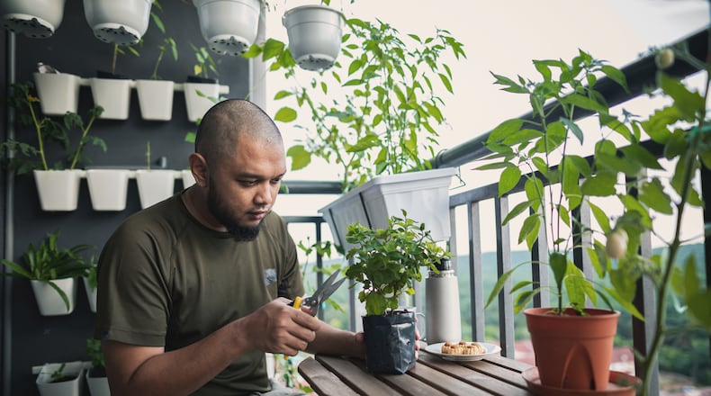 A man is seen tending to plants on his apartment balcony. iSTOCK/COX