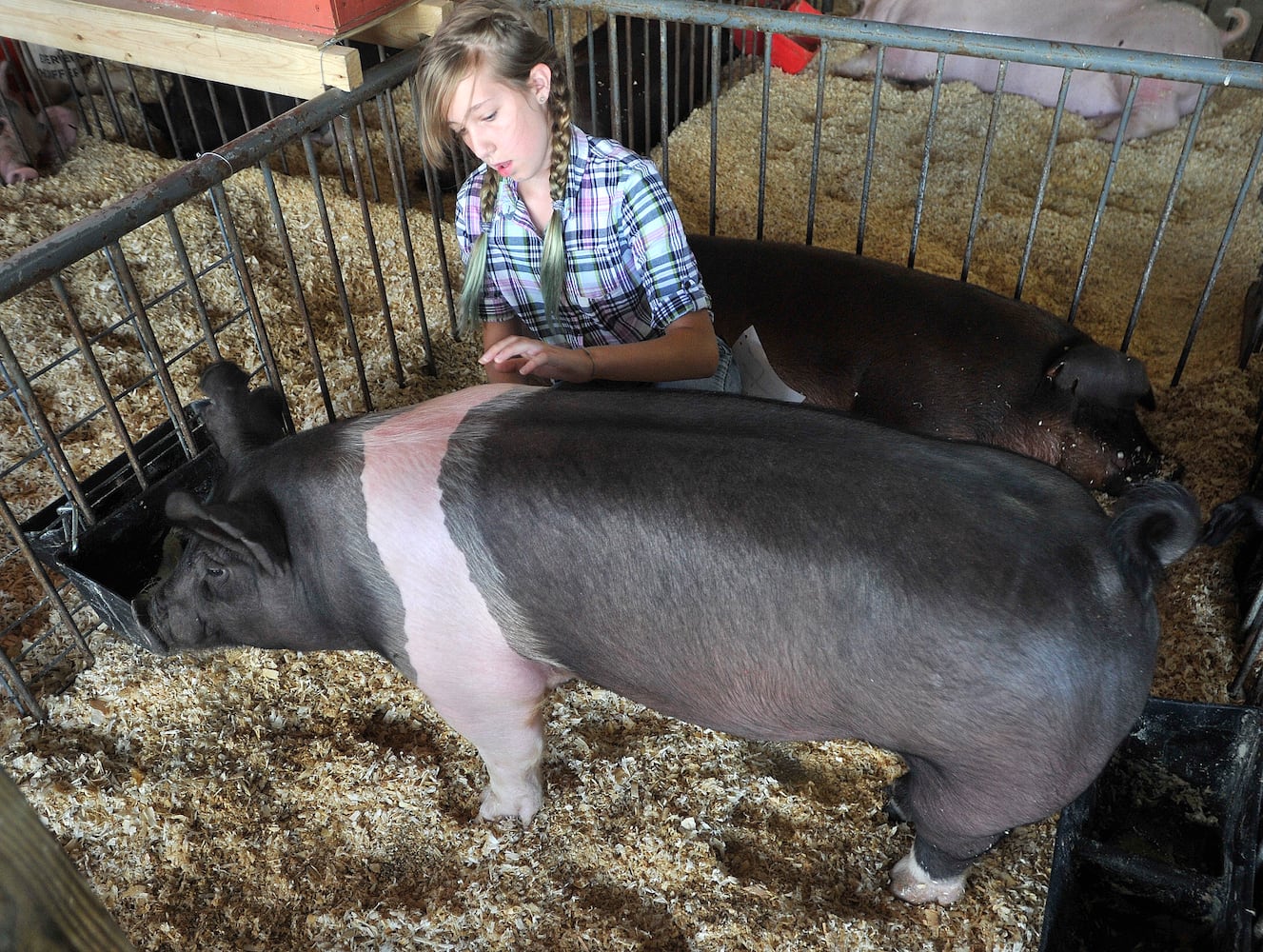 Miami County Fair
