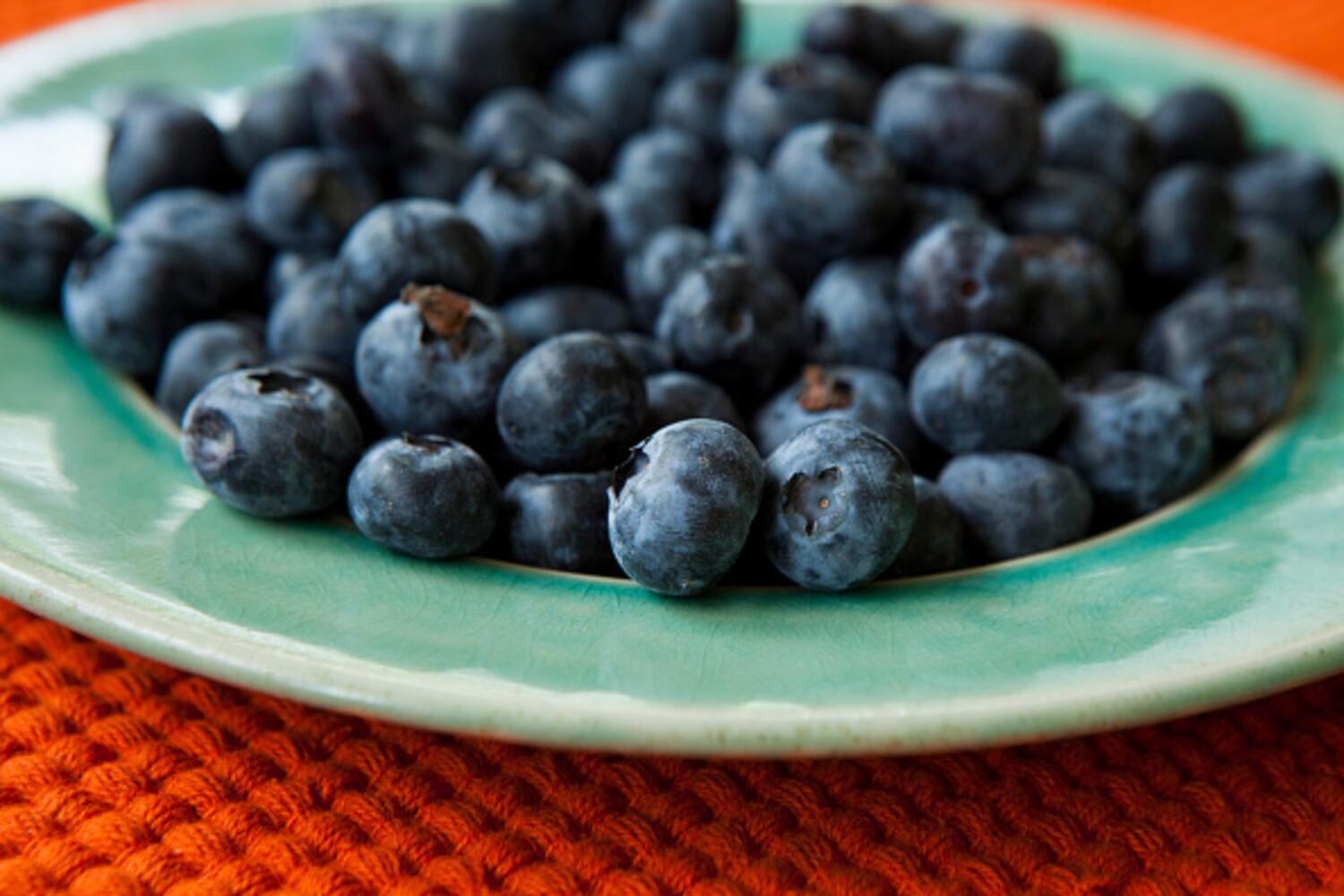 National Blueberry Month