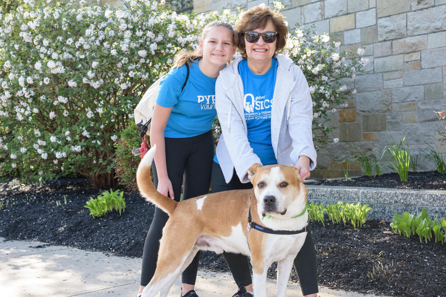 PHOTOS: Woof Walk at Woodland Cemetery & Arboretum