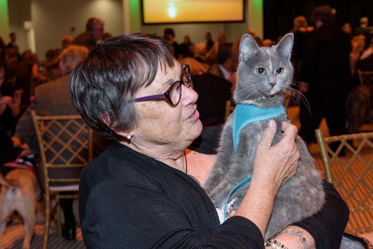 PHOTOS: Did we spot you at the Pet Afflaire Gala at the Dayton Arcade?
