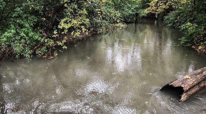The Beaver Creek flows through Phillips Park, near the start of the proposed "Spotted Turtle Trail." This trail would make the Beaver Creek wetlands more accessible to the public. STAFF/JIM NOELKER